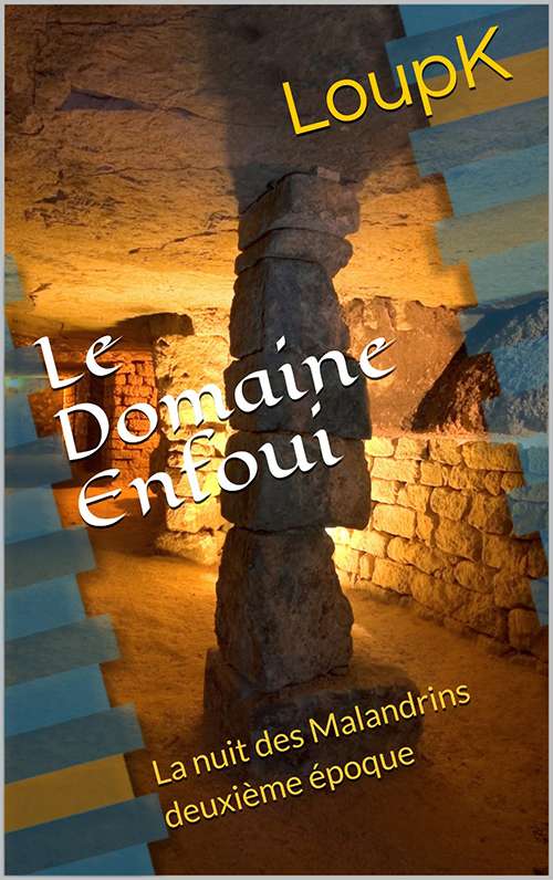 ebook_domaine