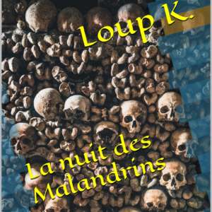 La nuit des Malandrins e-book