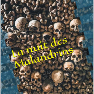 La nuit des Malandrins e-book